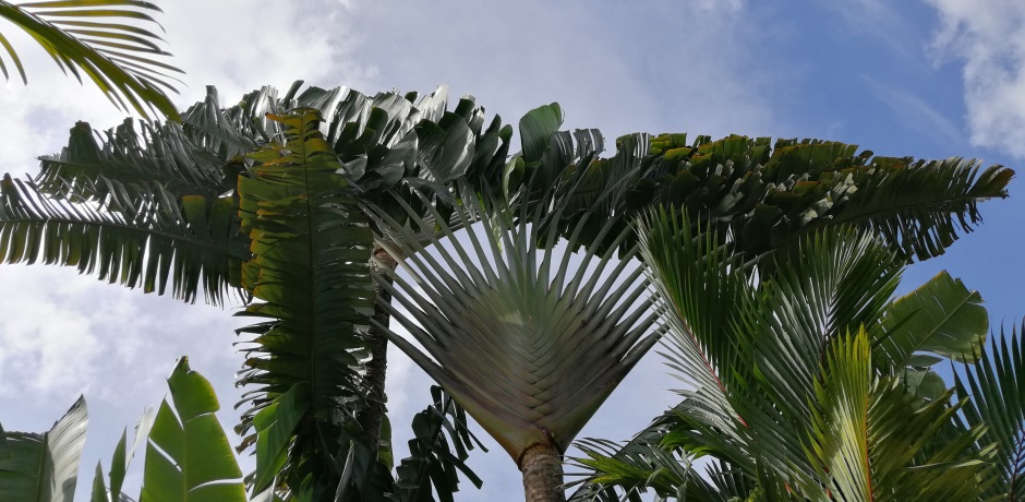 Lotuslodge – Garten- und Resortimpressionen